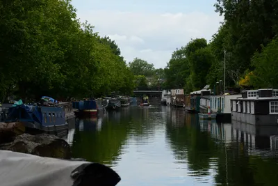 DSC_2738 (Large).JPG